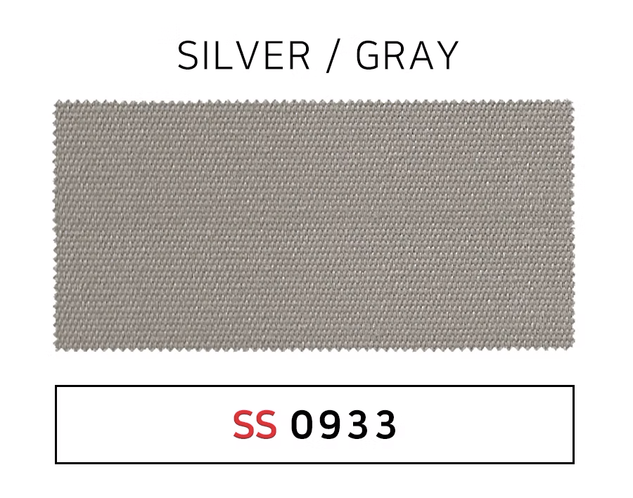 SILVER / GRAY - SS0933