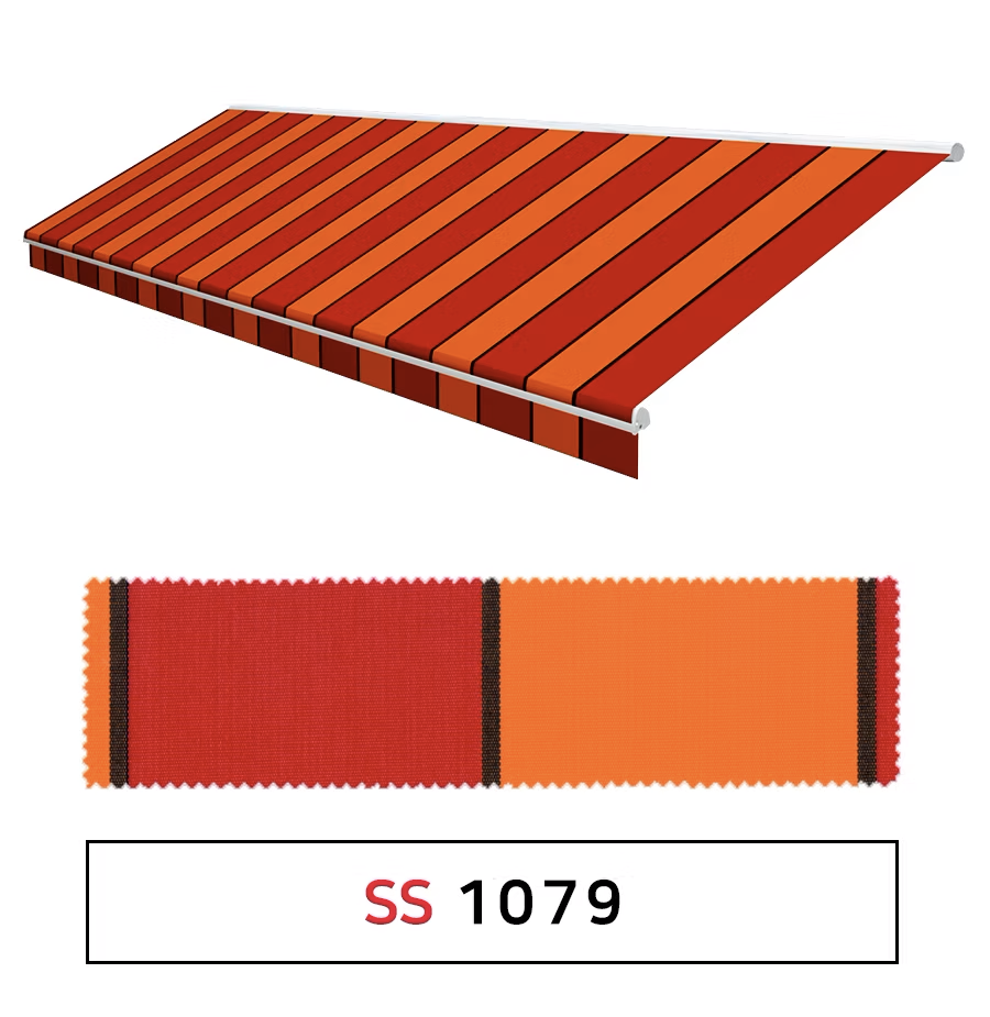 SS1079